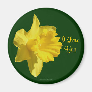 I Liebe You Daffodil Blume Foto Magnet