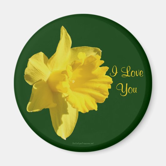 I Liebe You Daffodil Blume Foto Magnet (Vorne)