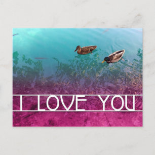 i Liebe you : Entenpaar Postkarte
