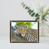 I Liebe You Leopard Foto Postkarte (Stehend Vorderseite)