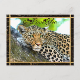 I Liebe You Leopard Foto Postkarte