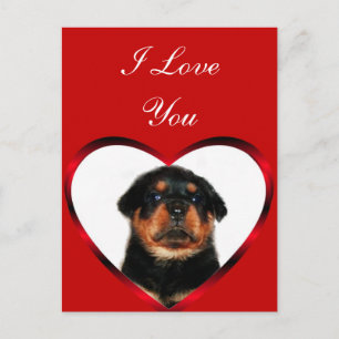 I Liebe You Rottweiler Welpengrüßkarte Postkarte