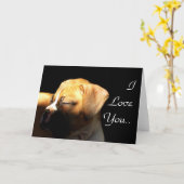 I Liebe You Sleeping boxer Welpen Grußkarte Karte (Gelbe Blume)