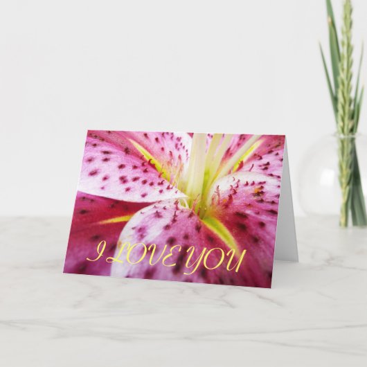I Liebe You Stargazer Lily Card Karte (Vorderseite)