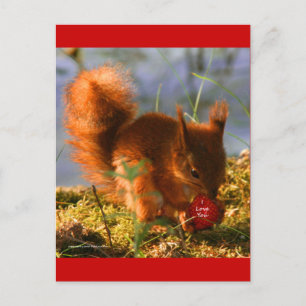 I Liebe You Strawberry Postkarte