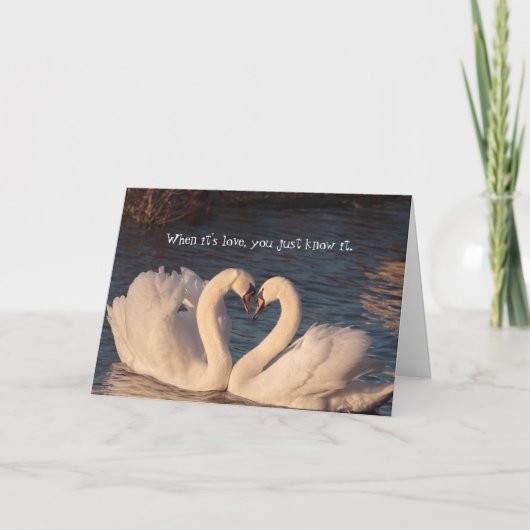 I Liebe You Swan Heart Anniversary Card Karte (Vorderseite)
