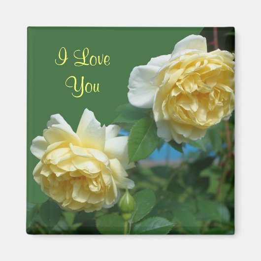 I Liebe You Yellow Roses Blume Foto Magnet (Vorne)