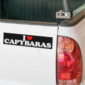 I LIEBECAPYBARAS AUTOAUFKLEBER (Auf Lkw)