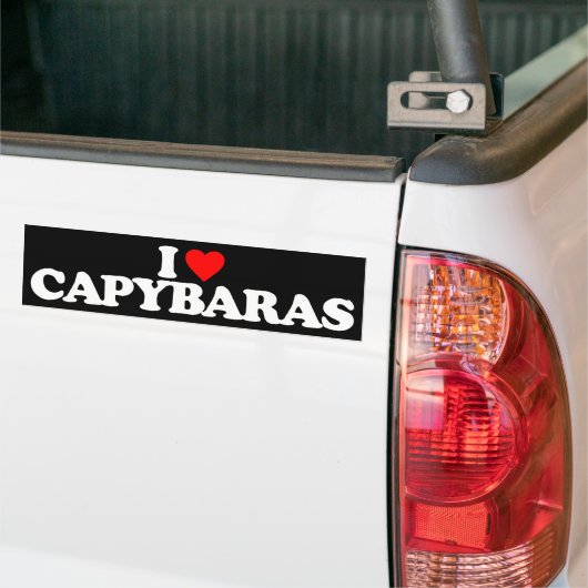 I LIEBECAPYBARAS AUTOAUFKLEBER (Auf Lkw)