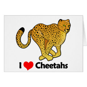 I LiebeCheetahs