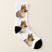 I LiebeCorgis Socken (Rechts - Außen)