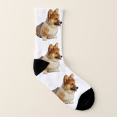 I LiebeCorgis Socken (Links - Innen)