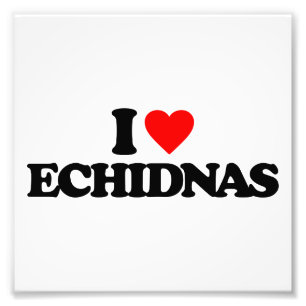 I LIEBEECHIDNAS FOTODRUCK