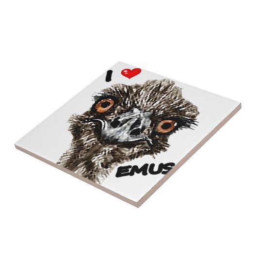 I LIEBEEMUS FLIESE (Seite)