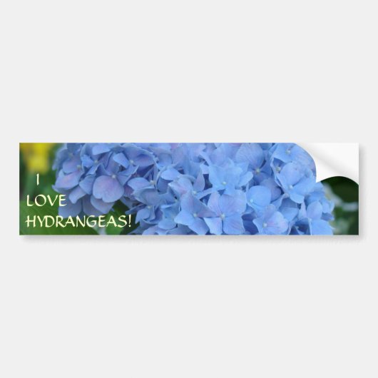I LIEBEHYDRANGEAS! Autoaufkleber-Blumengärtner Autoaufkleber (Vorne)