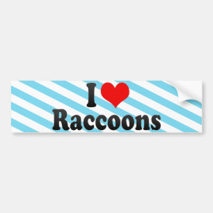 I LiebeRaccoons Autoaufkleber