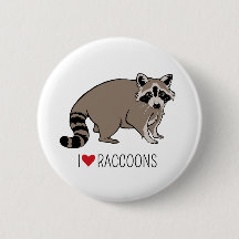 I LiebeRaccoons - CartoonRaccoon