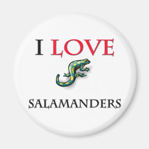 I LiebeSalamanders Magnet