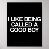 I Like Being Called A Good Boy  Poster (Vorne)