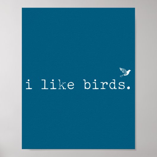 I Like Birds Funny Minimalist Birdwatching Introve Poster (Vorne)