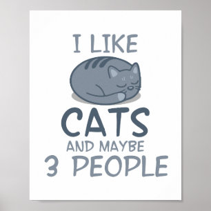 I Like Cats and Maybe 3 People Funny Cat Quote  Poster