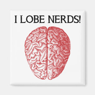 I Lobe Nerds Liebe Funny Kühlschrankmagnet
