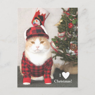 I Love Christmas! Feiertagspostkarte