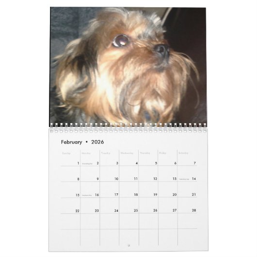 I LOVE DOGS CALENDAR KALENDER (Feb 2026)