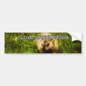 I love groundhogs bumper sticker autoaufkleber (Vorne)