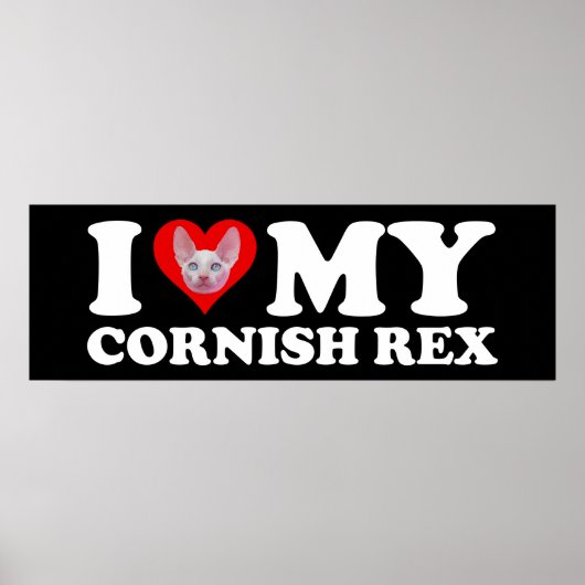 I Love (Heart) My Cornish Rex Poster (Vorne)