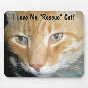I love my rescue Cat! Mousepad