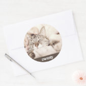 I love my sweet little cat photo runder aufkleber (Umschlag)