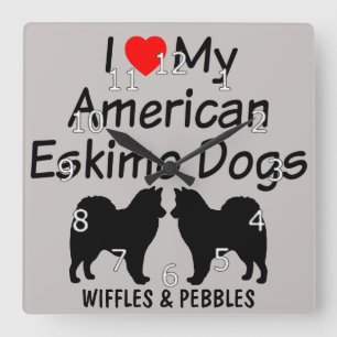 I Love My Two American Eskimo Dogs Quadratische Wanduhr