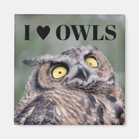 I Love Owls Magnet (Vorne)