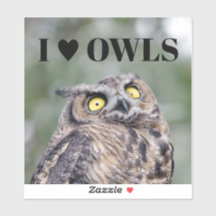 I Love Owls Sticker