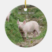 I Love Pigs * National Pig Day Keramik Ornament (Hinten)