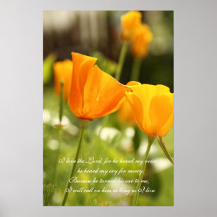 I love the Lord,, orange poppies wall poster