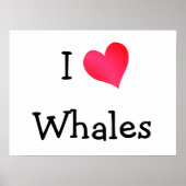 I Love Whales Poster (Vorne)