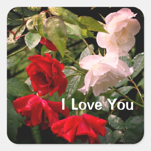 I Love You Drenched Roses Floral Quadratischer Aufkleber (Vorderseite)