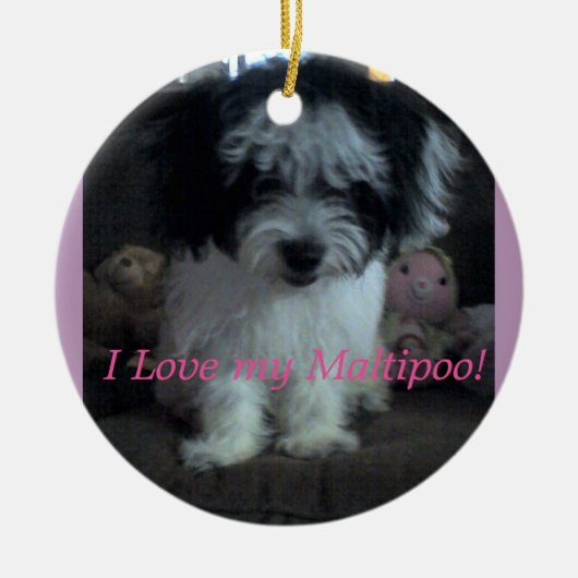 I Lovee mein Maltipoo! Verzierung Keramikornament (Vorne)