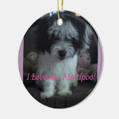 I Lovee mein Maltipoo! Verzierung Keramikornament (Links)