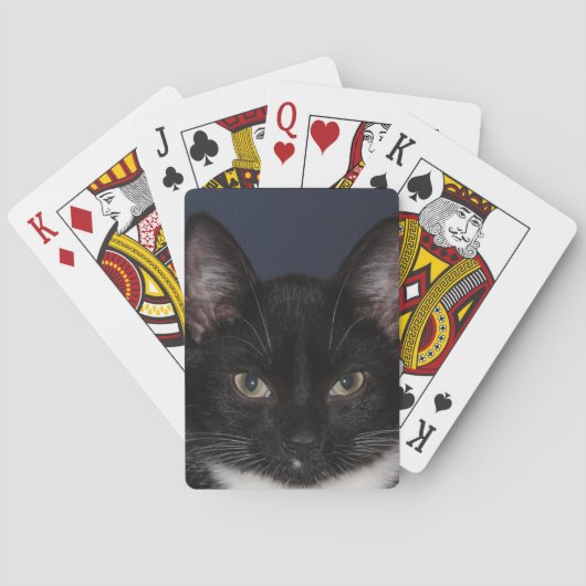 I LUV CATZ SPIELKARTEN (Rückseite)