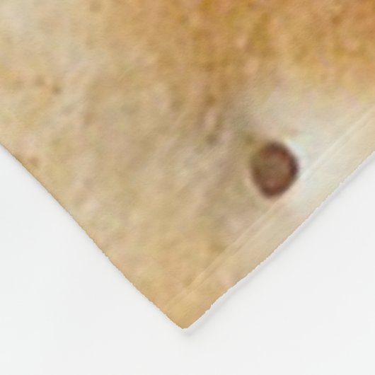 I LUV CRACKERS FLEECEDECKE (Ecke)