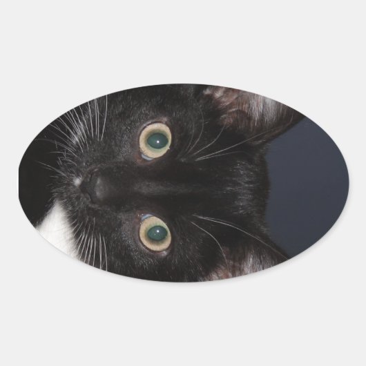 I LUV KATZ OVALER AUFKLEBER (Vorderseite)