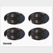 I LUV KATZ OVALER AUFKLEBER (Blatt)