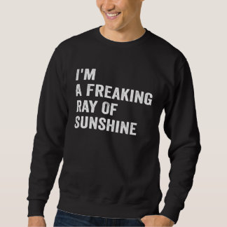 I m A Freaking Ray Of Sunshine  Sarcastic Sayings  Sweatshirt