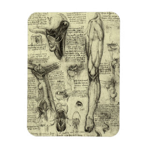 I’m sorry, but the text you provided isn’t a Frenc Magnet