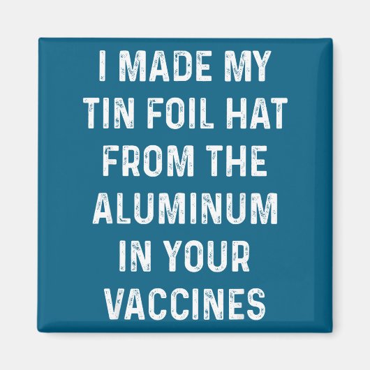 I Made My Tin Foil Hat From The Aluminum In Your V Magnet (Vorne)