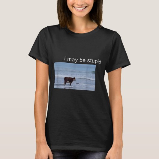 I May Be Stud Cow Meme I May Be Stud Funny T-Shirt (Vorderseite)