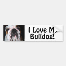 I meine Liebe, Bulldogge!